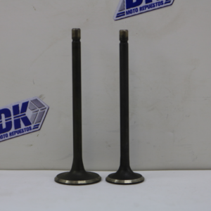 VALVULA DE ADMISION Y ESCAPE HJ125-7 / FT125 PAR