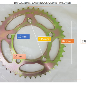 CATARINA 43T 428 GSR200