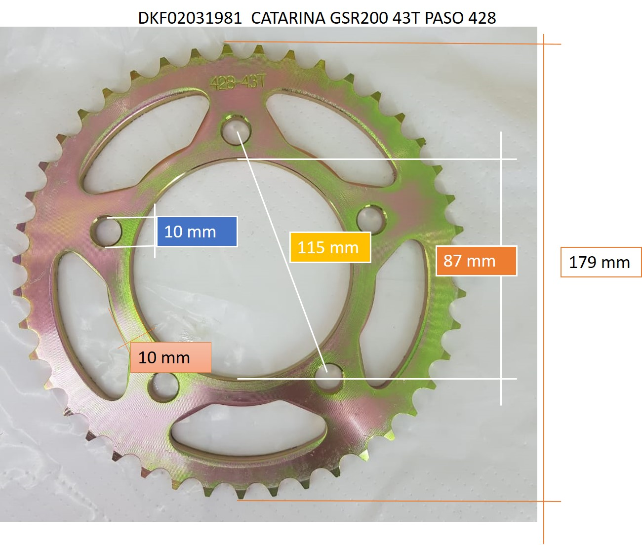 CATARINA 43T 428 GSR200