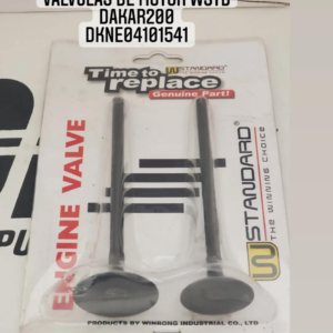 CADENA DE LEVA WSTD GXT250R