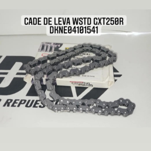 VALVULAS DE MOTOR WSTD DAKAR200