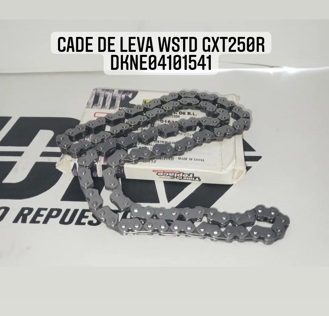 VALVULAS DE MOTOR WSTD DAKAR200