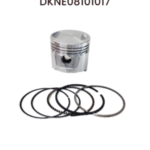 PISTON STD KIT CG150 FT150