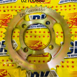 CATARINA 40T FT125