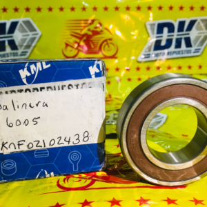 BALINERA 6005 2RS