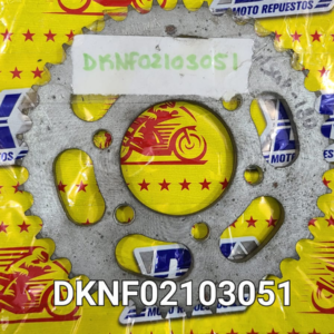SPROCKET TRAS 39T CT100 6 HOYOS MOTOMIA