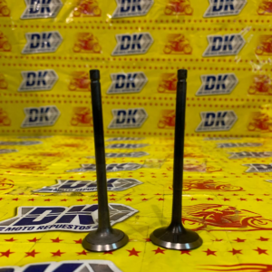 KIT DE VALVULAS PLATINA 100