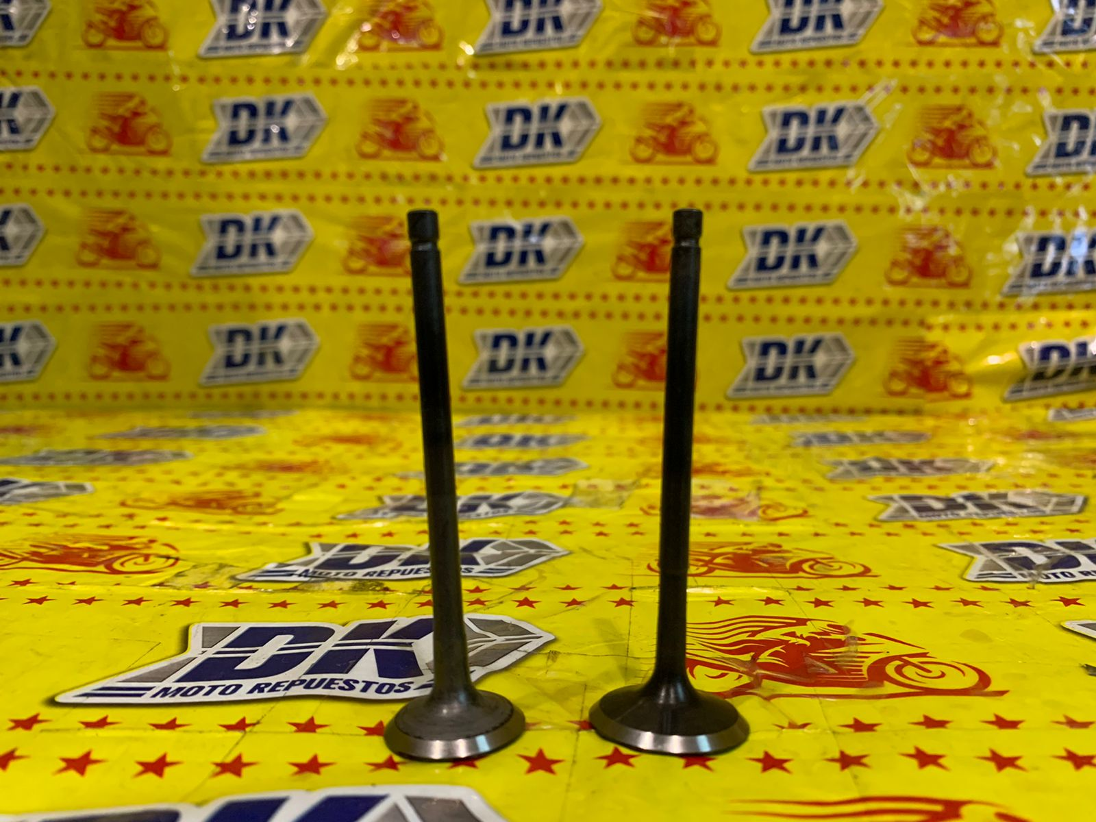 KIT DE VALVULAS PLATINA 100
