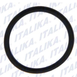 O-RING 25x2.4