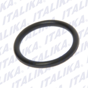 O-RING, 2.5*20 *20 RNO 7*0.5, DEL EMPAQUE 0026,
