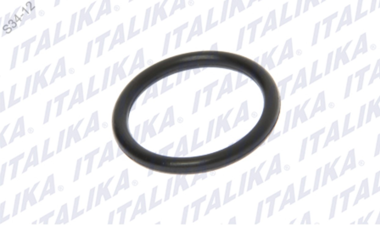 O-RING, 2.5*20 *20 RNO 7*0.5, DEL EMPAQUE 0026,
