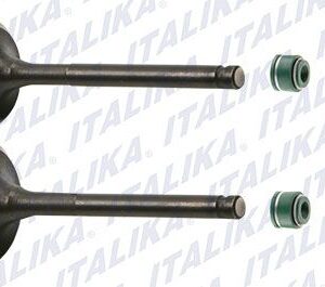 KIT DE VALVULAS DE MOTOR