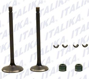 KIT DE VALVULAS DE MOTOR