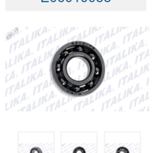 BALERO RADIAL DE BOLAS 6202-P6