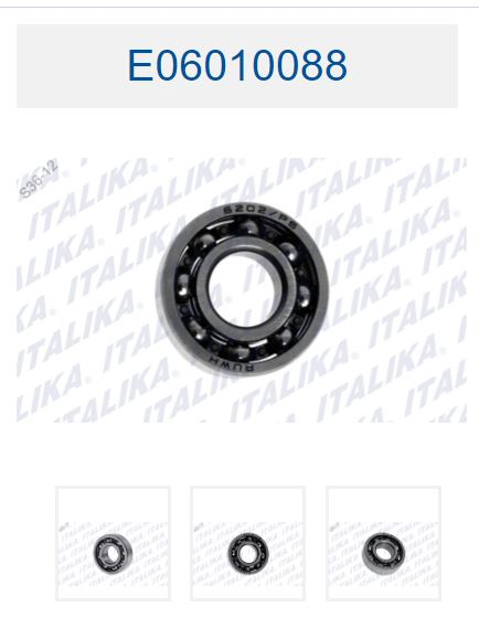 BALERO RADIAL DE BOLAS 6202-P6