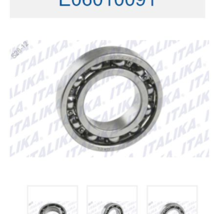 BALERO RADIAL DE BOLAS 6006
