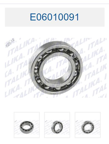 BALERO RADIAL DE BOLAS 6006
