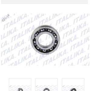 BALERO RADIAL DE BOLAS 6004-P6