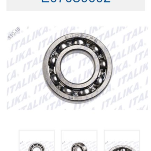 BALERO RADIAL DE BOLAS 6002