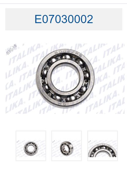 BALERO RADIAL DE BOLAS 6002