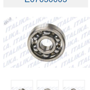 BALERO RADIAL DE BOLAS 6301