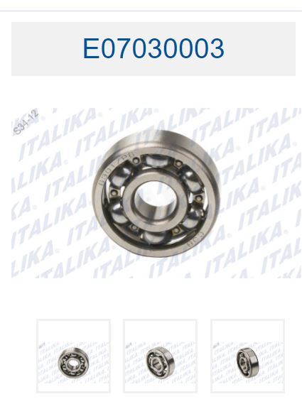 BALERO RADIAL DE BOLAS 6301
