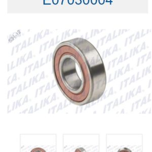 BALERO RADIAL DE BOLAS 6004