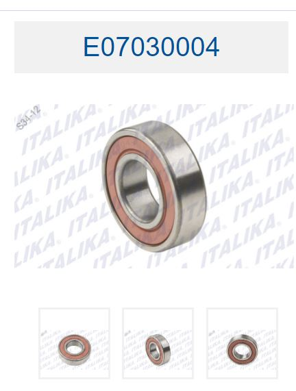 BALERO RADIAL DE BOLAS 6004