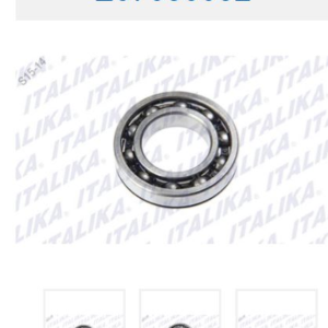BALERO RADIAL DE BOLAS 60/28N