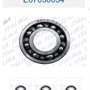 BALERO RADIAL DE BOLAS 6203-P53