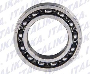 BALERO RADIAL DE BOLAS 6905