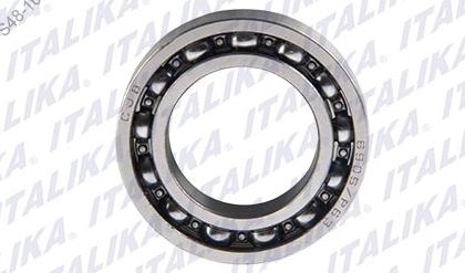BALERO RADIAL DE BOLAS 6905