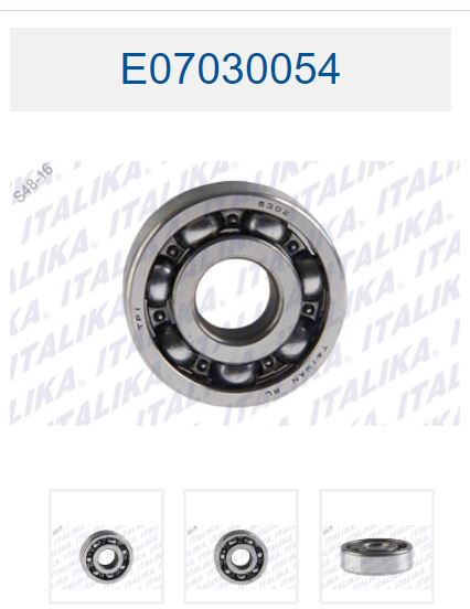 BALERO RADIAL DE BOLAS 6302