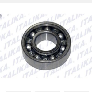 BALERO RADIAL DE BOLAS 6202Z