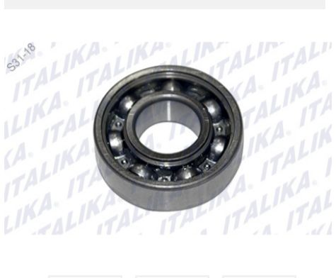 BALERO RADIAL DE BOLAS 6202Z
