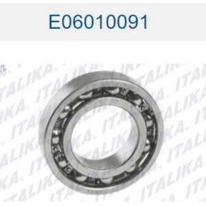 BALERO RADIAL DE BOLAS 6006