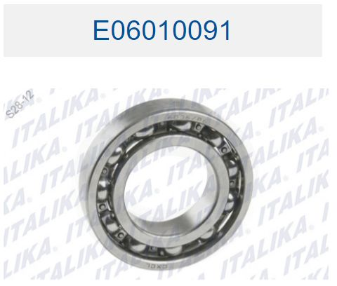 BALERO RADIAL DE BOLAS 6006