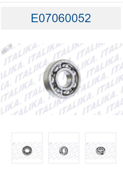 BALERO RADIAL DE BOLAS 6303