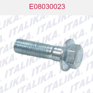 TORNILLO DE FIJACION TIEMPO