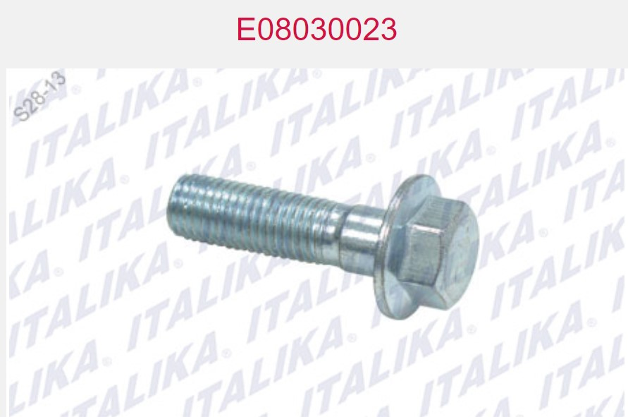 TORNILLO DE FIJACION TIEMPO
