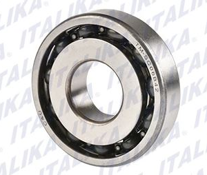 BALERO RADIAL DE BOLAS TM-SC06B42