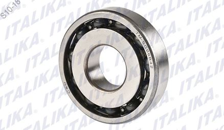 BALERO RADIAL DE BOLAS TM-SC06B42