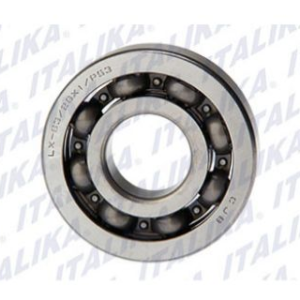 BALERO RADIAL DE BOLAS 63/28X1P5