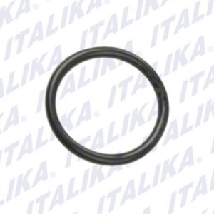 TAPON DE DRENADO CON  O-RING,30.8*3 PZA DS150