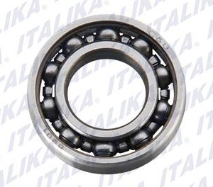 BALERO RADIAL DE BOLAS 6901