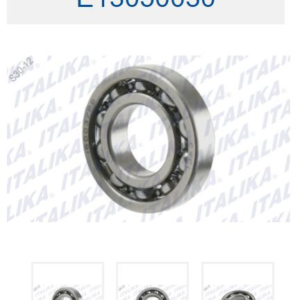 BALERO RADIAL DE BOLAS 6003-P6