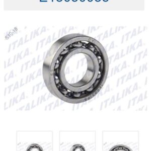 BALERO RADIAL DE BOLAS 16003