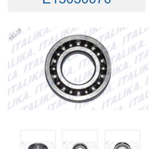 BALERO RADIAL DE BOLAS 6003-P63