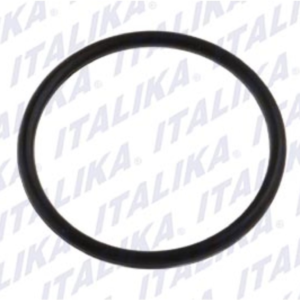 O-RING 21x1.6