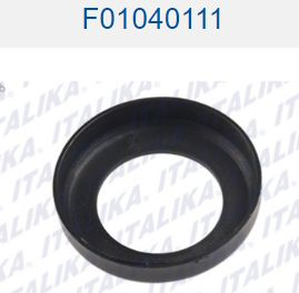 POLVERA DE COLUMNA DE DIRECCION